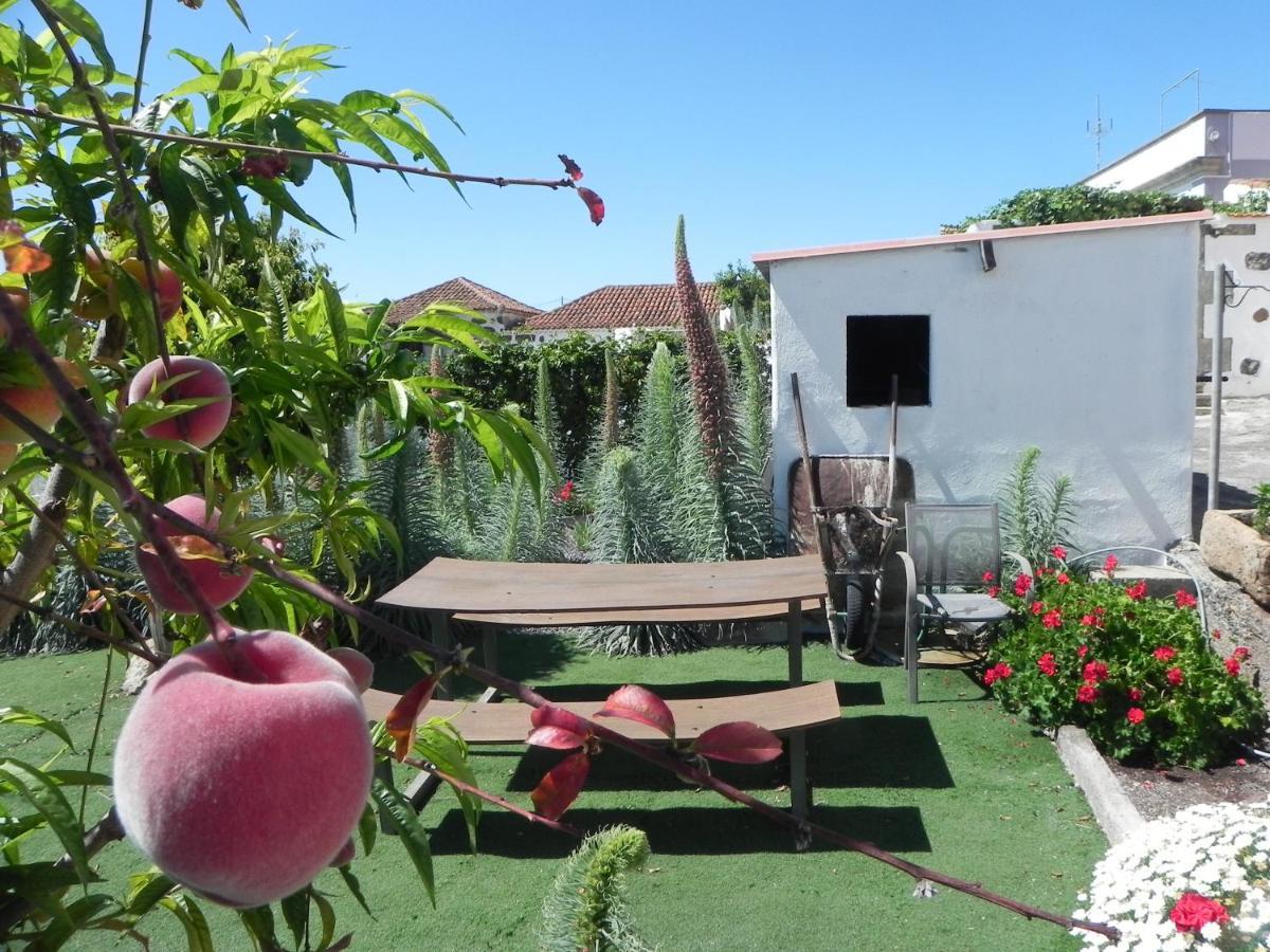 Casa Irma, Great Sea And Mountains Views, Rural House Villa Costa Adeje  Bagian luar foto