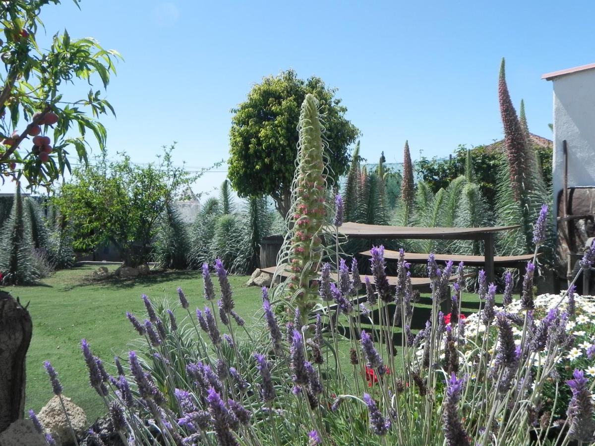 Casa Irma, Great Sea And Mountains Views, Rural House Villa Costa Adeje  Bagian luar foto
