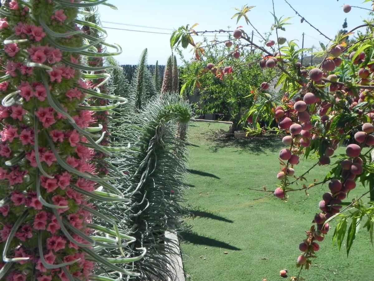 Casa Irma, Great Sea And Mountains Views, Rural House Villa Costa Adeje  Bagian luar foto
